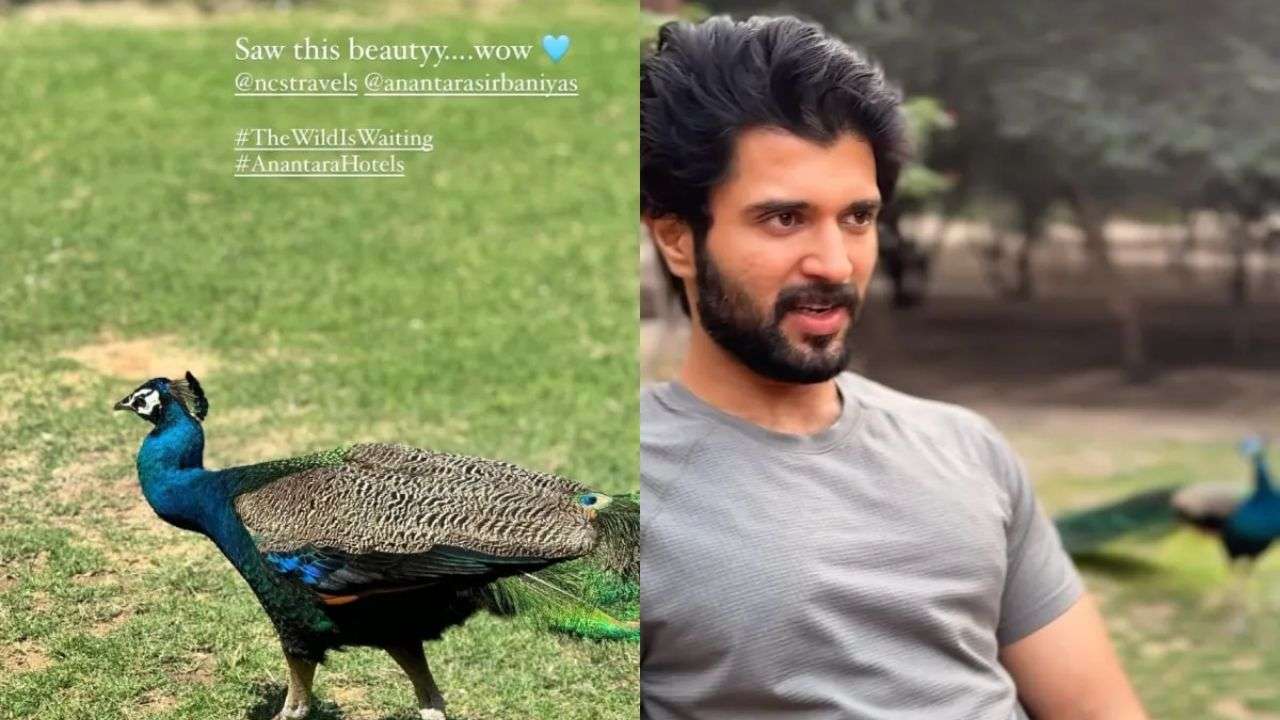 Matching vacation posts from UAE